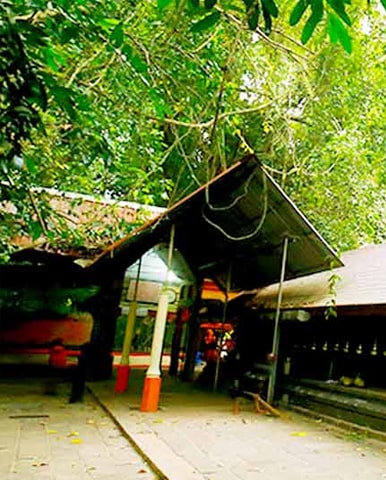 Mannarasala Sree Nagaraja Temple, Mannarasala