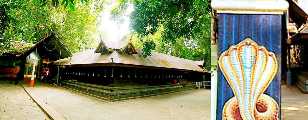 mannarasala-sree-nagaraja-temple-mannarasala